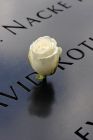 9-11-memorial