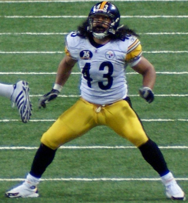 Troy Polamalu Pittsburgh Steelers Youth Green St. Patrick's Day