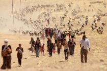 yazidis-fleeing-sinjar