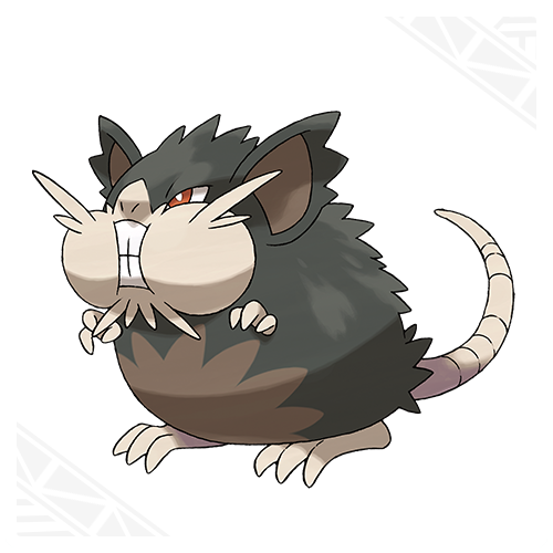 Rattata Gets An Alola Form In Pokémon Sun & Moon - Siliconera