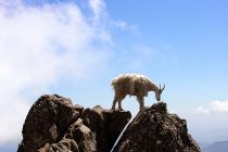 secure-footing-like-a-mountain-goats