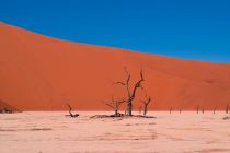 drought-desert