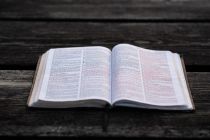 bible-translation