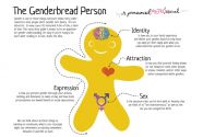 the-genderbread-person