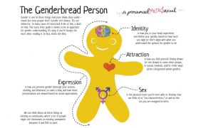 the-genderbread-person